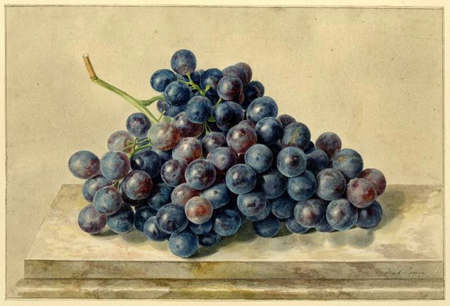 Grappolo d'uva